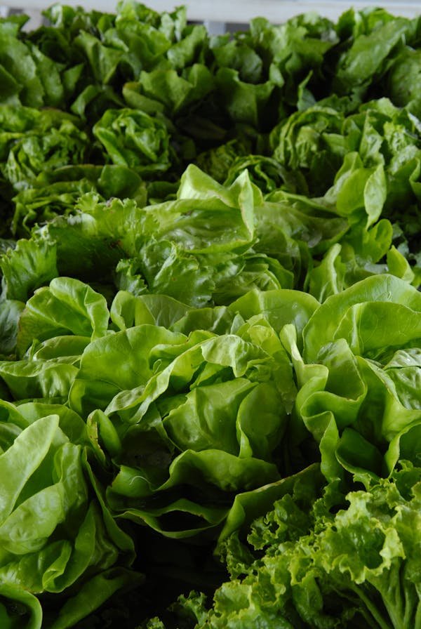 Why Leafy Greens Are Necessary for People Aged 25 to 45 Years?